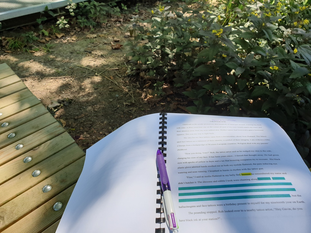 Manuscript-at-the-park-picture-tips-for-organizing-and-implementing-feedback-for-revisions-and-editing-susan-shiney-critique-partners-beta-readers