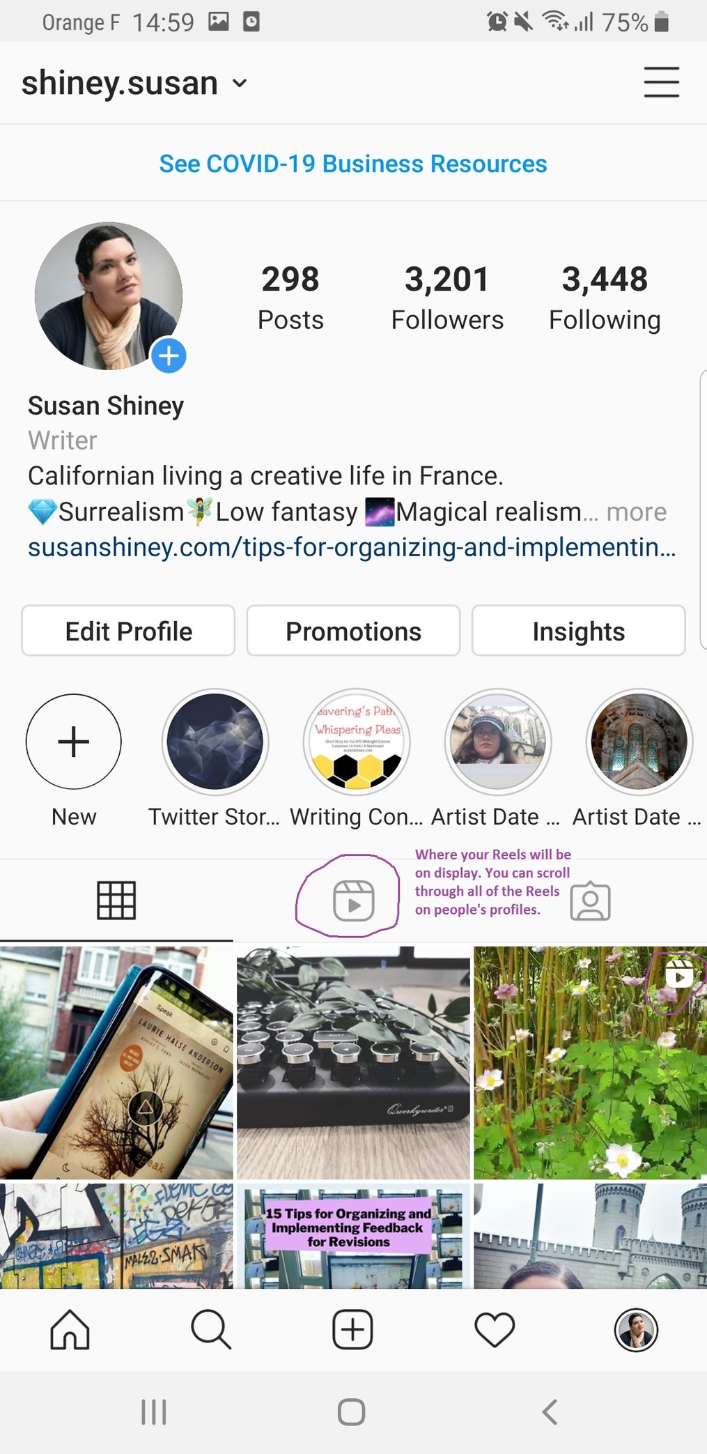 Overview-of-Instagram-Reels-Susan-Shiney-Profile-Pic-Showing-where-to-click-for-Instagram-Reels-on-your-profile