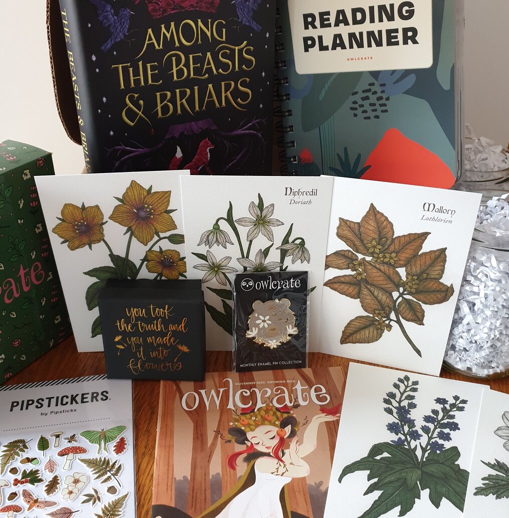 https://susanshiney.com/wp-content/uploads/2020/12/Unboxing-Owlcrate-november-2020-subscription-box-spoilers-growing-wild.jpg